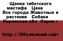 Щенки тибетского мастифа › Цена ­ 80 - Все города Животные и растения » Собаки   . Кировская обл.,Киров г.